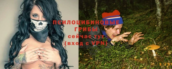 соль курить ск Михайлов