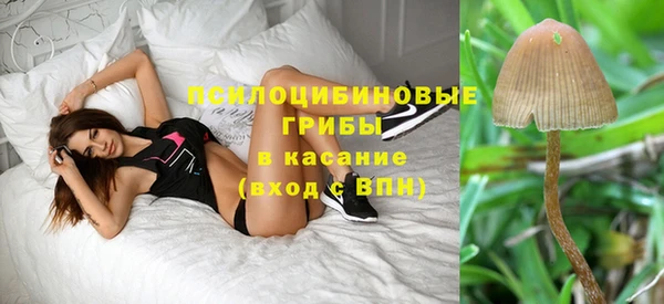 соль курить ск Михайлов